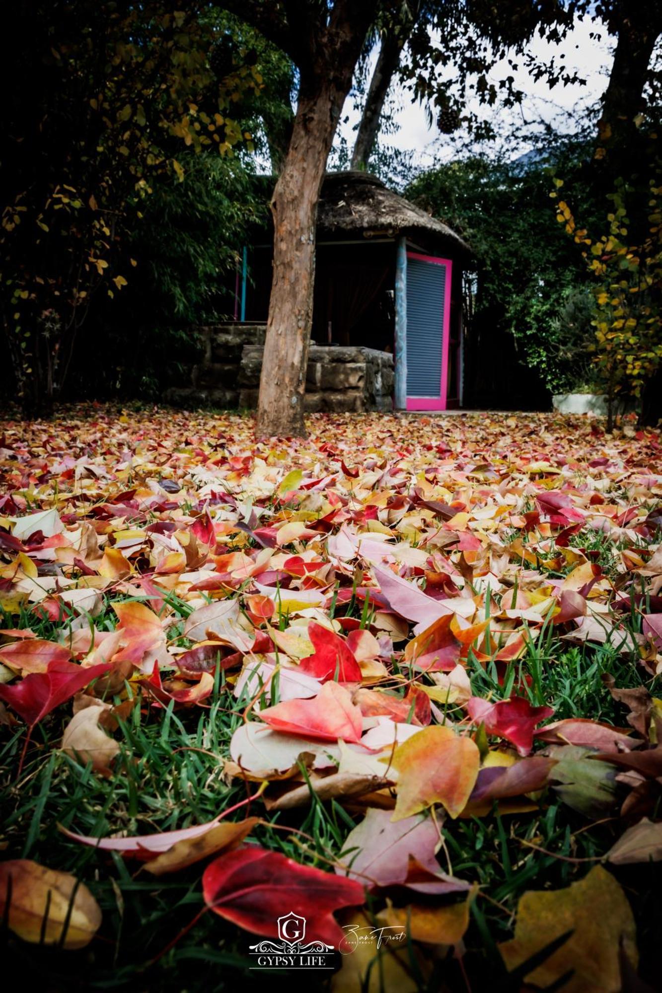 Gypsy Guest House Clarens Bagian luar foto
